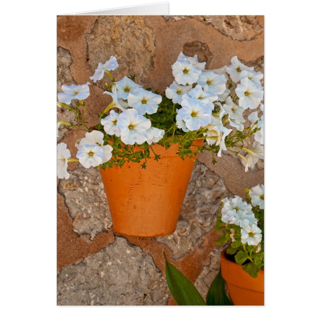 壁スペインの (正面)