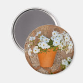 壁スペインの マグネット (正面/裏面)