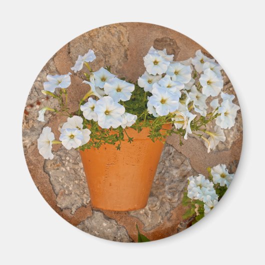 壁スペインの マグネット (正面)