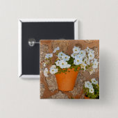 壁スペインの 缶バッジ (正面&裏面)