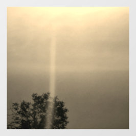 壁デカールシールクールエコスタイルデザイン ウィンドウサイン