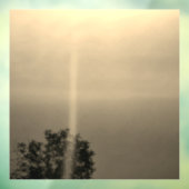 壁デカールシールクールエコスタイルデザイン ウィンドウサイン (シート3)