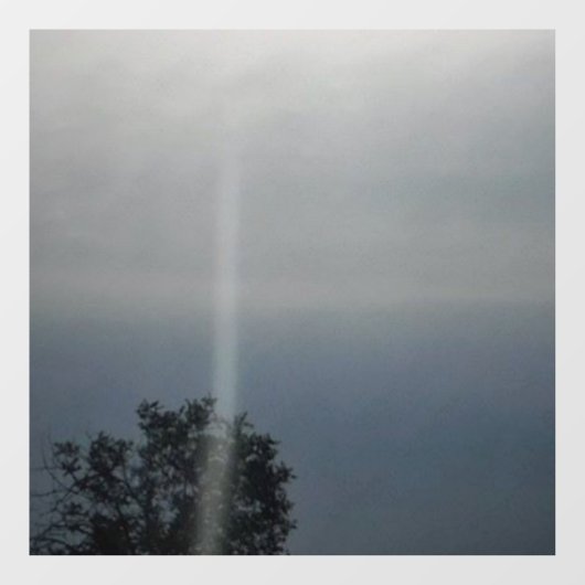 壁デカールシールクールエコスタイルデザイン ウィンドウサイン (シート)