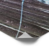 壁ポスターのライトアップされたバグ ポスター (角)