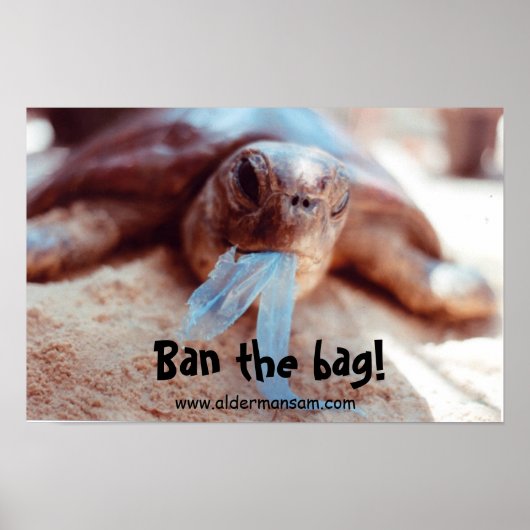 壁ポスター ポスター (正面)