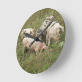 壁掛け時計の豚 ラウンド壁時計 (傾斜)