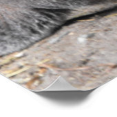 壁材の共有 ポスター (角)