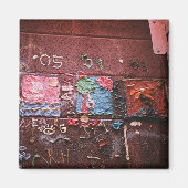 壁歯肉 マグネット (正面)