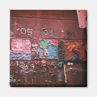 壁歯肉 マグネット