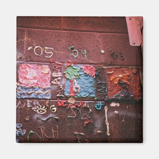 壁歯肉 マグネット (正面)