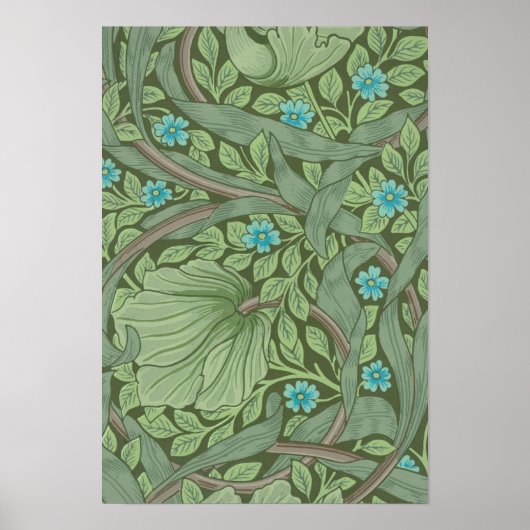 壁紙パター忘れンサンプル(Me-Nots) ポスター (正面)