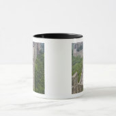 壁素晴らし、ジンシャンリン、中国 マグカップ (中央)