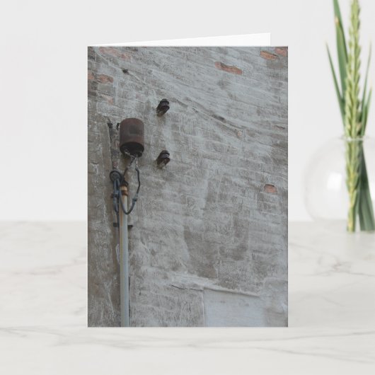 壁 カード (正面)