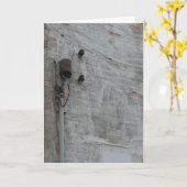 壁 カード (黄色い花)