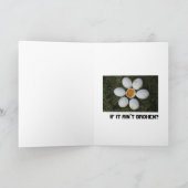 壊もしれてない、直すな –  カード (内部)