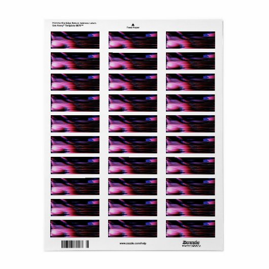 壊れたカメラA60番22 ラベル (フルシート)