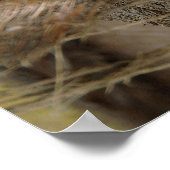 壊れたココナッツ ポスター (角)