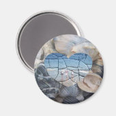 壊れたシェル マグネット (正面/裏面)