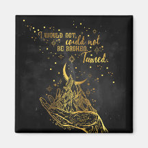 壊れたタメッド磁石