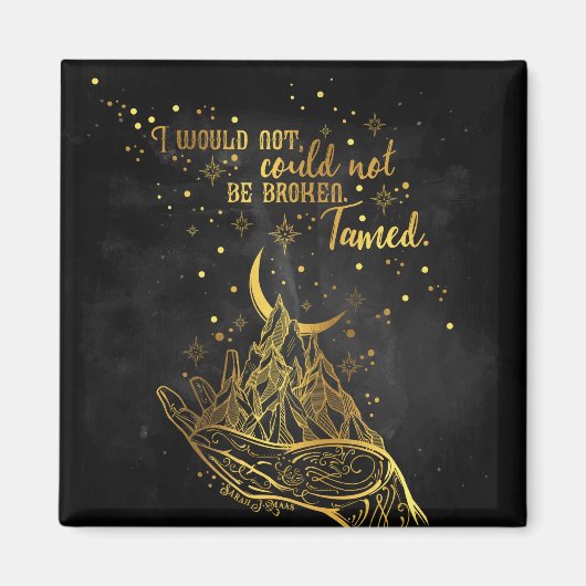 壊れたタメッド磁石 マグネット (正面)