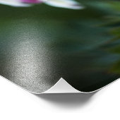 壊れたハートのラインアップ写真 フォトプリント            (角)