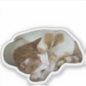 壊れたハートを持つかわいい猫 シール (正面)