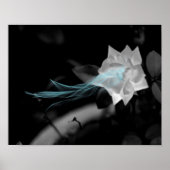 壊れたハートを癒すかわいらし – 白いバラの写真 ポスター (正面)