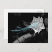 壊れたハートバラ写真の修復 ポストカード (正面/裏面)