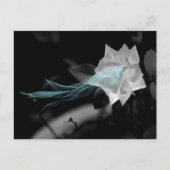 壊れたハートバラ写真の修復 ポストカード (正面)