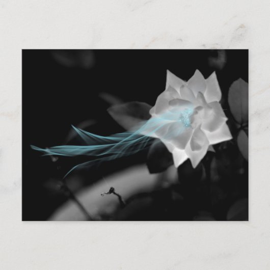 壊れたハートバラ写真の修復 ポストカード (正面)