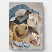 壊れたビーチ美しい フォトプラーク (正面)