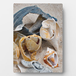 壊れたビーチ美しい フォトプラーク