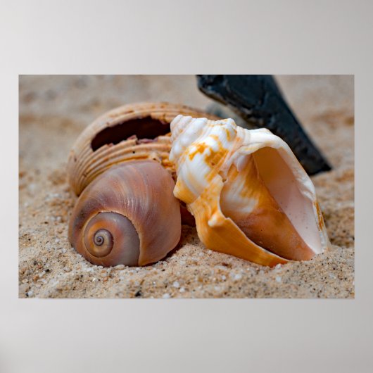 壊れたビーチ美しい#2ポスター ポスター (正面)