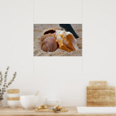 壊れたビーチ美しい#2ポスター ポスター (キッチン)