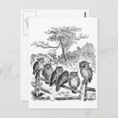 壊れたフェンスに座る6匹の小さなフクロウ ポストカード (正面/裏面)