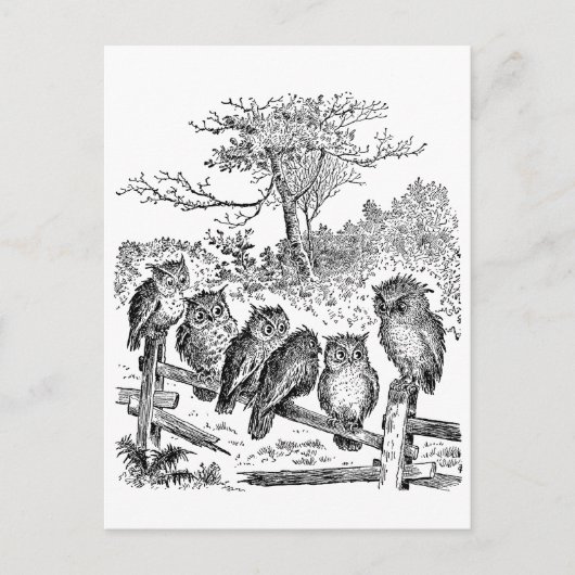 壊れたフェンスに座る6匹の小さなフクロウ ポストカード (正面)