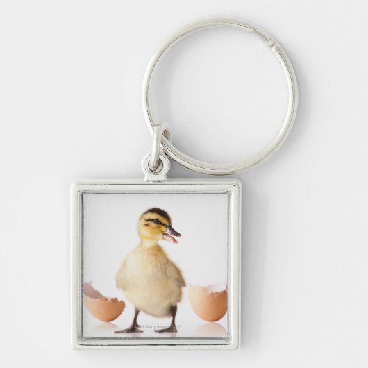 壊れた卵の殻の側の新たに工夫されたひよこ キーホルダー (正面)