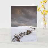 壊れた塀 カード (黄色い花)