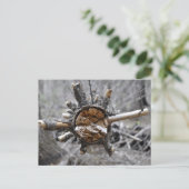 壊れた松 ポストカード (スタンド正面)