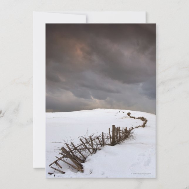 壊れた柵 (正面)