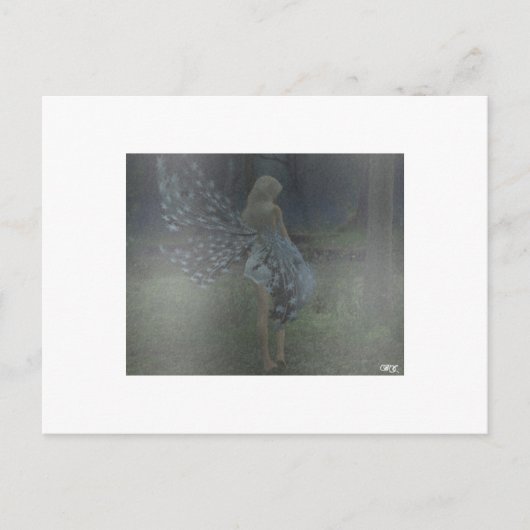 壊れた翼 ポストカード (正面)