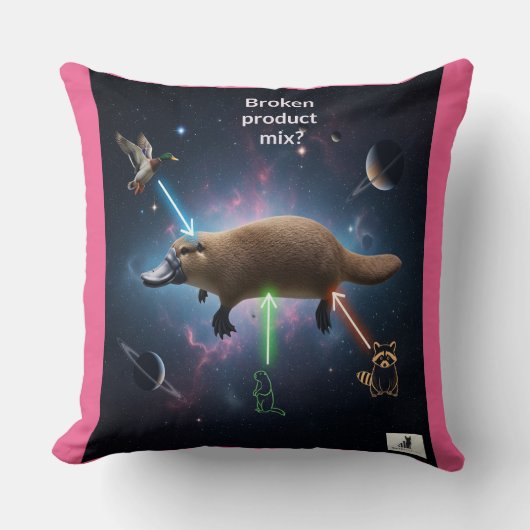 壊れた製品ミックス？宇宙の血小板ジレンマ クッション (正面)