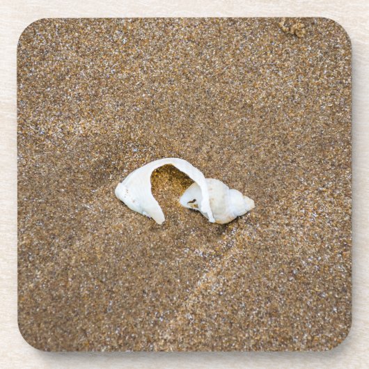 壊れた貝の堅いプラスチックコースター コースター (正面)