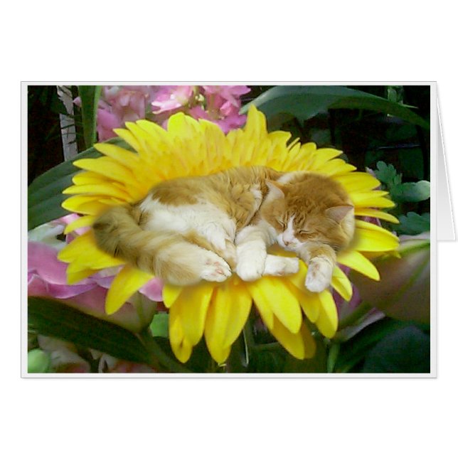 壊れやすい春 (正面横)