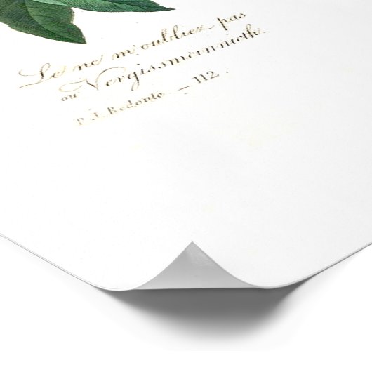 壊血性筋炎 ポスター (角)