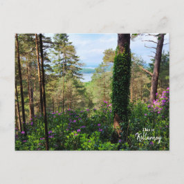 壮大なキラーニー – アイルランド ポストカード