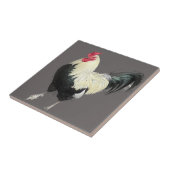 壮大なコケレルNo 1 タイル (側面)