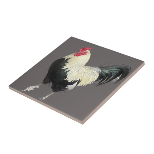 壮大なコケレルNo 1 タイル (側面)