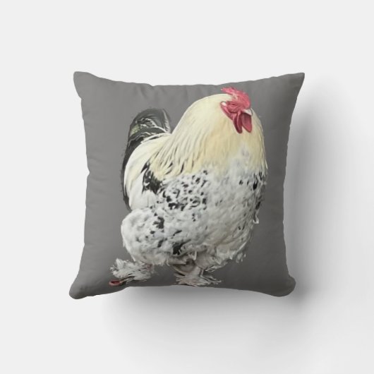 壮大なコケレルNo 2 クッション (裏面)