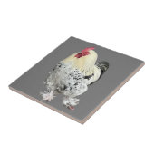 壮大なコケレルNo 2 タイル (側面)